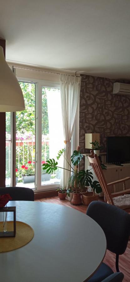 Branysol Apartman Novi Sad Exterior foto
